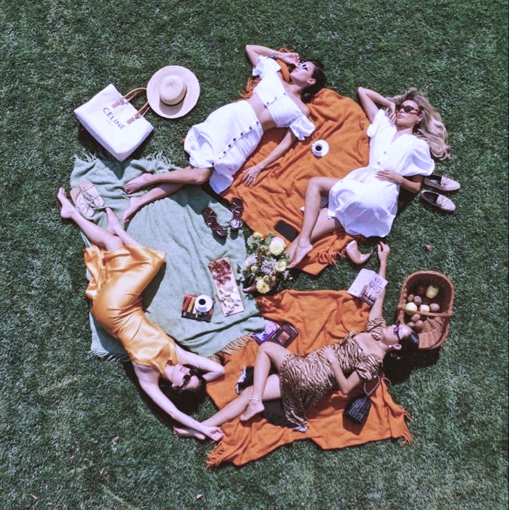 download (24) picnic
